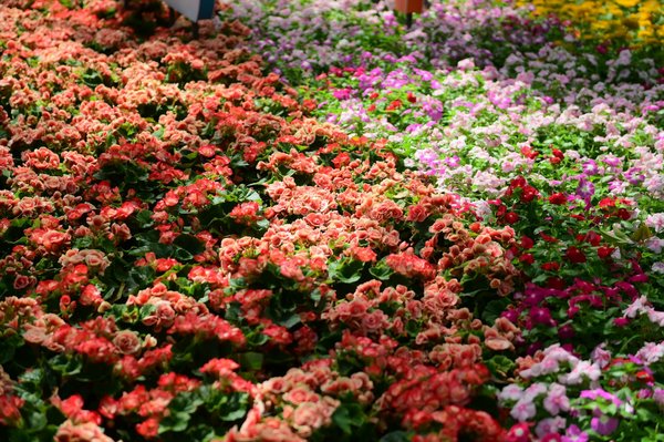 Crucial tips on flood insurance for future riverside homebuyers in oxford